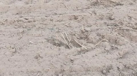 Close Up View of Plowed Soil and Tire Tracks on Field Ground Stock-Fotos