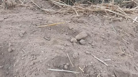 Close Up View of Plowed Soil and Tire Tracks on Field Ground Stock-Fotos