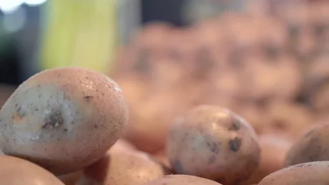 Close up view of potatoes on counter in the farm market. Slow motion Stock Footage 189357044