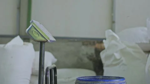 Close-up view of poultry feed mash scooped and weighed on digital floor scale Vidéo 348741994