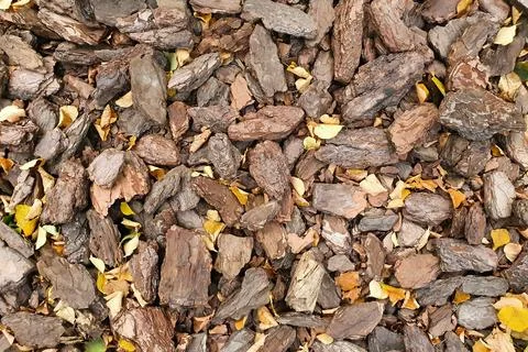 Close view of pulverised tree bark mulch. Mulch texture. Top view Stock Photos