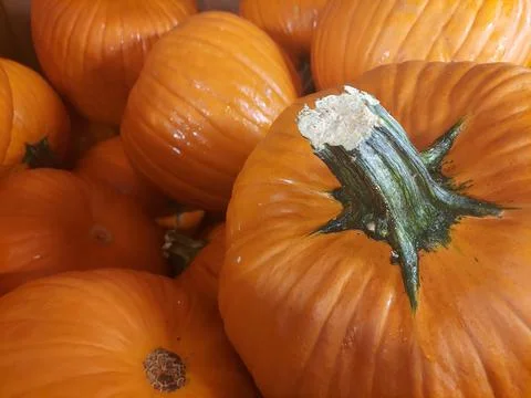 Close up view of a pumpkins in a basket Foto stock