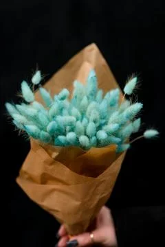 Close up view of rabbit tail grass dried flowers bunch of green color wrapped in Stock Photos