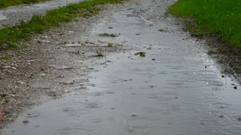 Close up view rain falls on unpaved macadam countryside dirt road Stock Footage 140541119