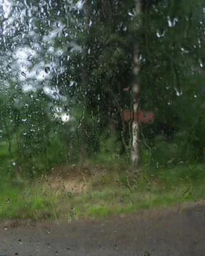 Close view of raindrops on a car window with a blurred forest road and green Stock Photos