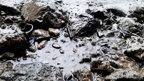 Close up view of raindrops falling down taken from a high angle Video stock 295887346