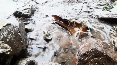 Close up view of raindrops falling down taken from a high angle Video stock 295887347