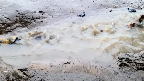 Close up view of raindrops falling down taken from a high angle Video stock 295887381