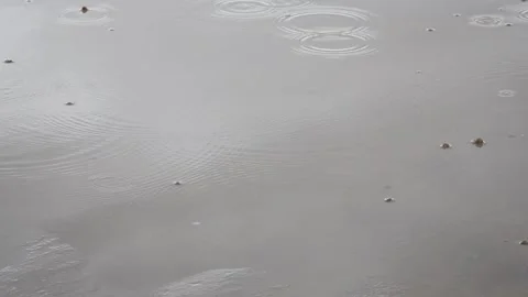 Close-up view of raindrops falling on the wet ground during rainfall. 库存影片 319921711