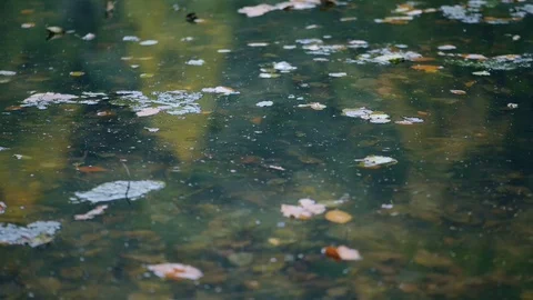 Close up view of raindrops on a lake Stock Footage 80932689