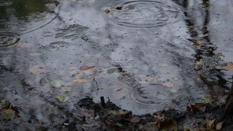 Close up view of raindrops on a lake Stock Footage 80932937