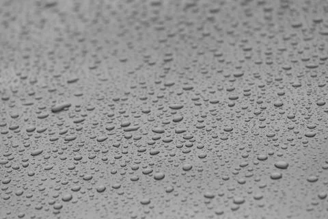 Close-Up View of Raindrops on a Surface, Showcasing the Beauty of Nature s Stock Photos