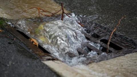 Close up view of Rainwater flowing into a storm drain clogged with wet leaves Video stock 341544660