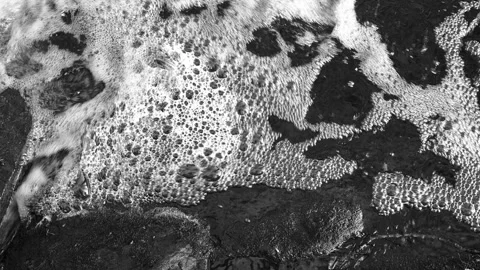 Close-Up View Of A Rapid Stream Of Flowing Water. Stock Footage 320262815