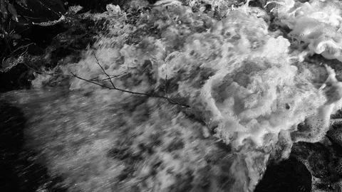 Close-Up View Of A Rapid Stream Of Flowing Water. Stock Footage 320262965