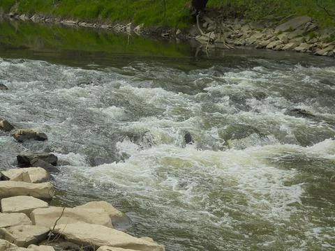 Close view of rapids on large river with foam and rocky shores. Stock Photos