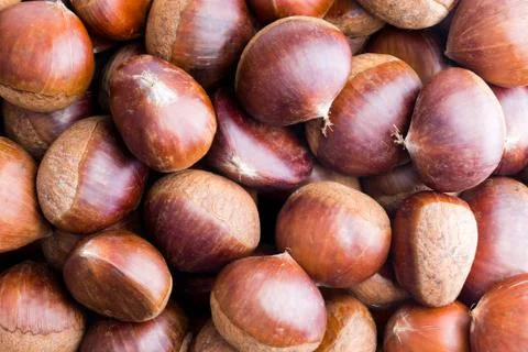 Close up view of raw chestnuts Stock Photos