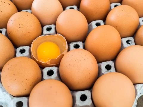 Close-up view of raw chicken egg. Every egg is a chicken egg Stock Photos