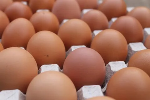 Close-up view of raw chicken eggs in egg box Stock Photos