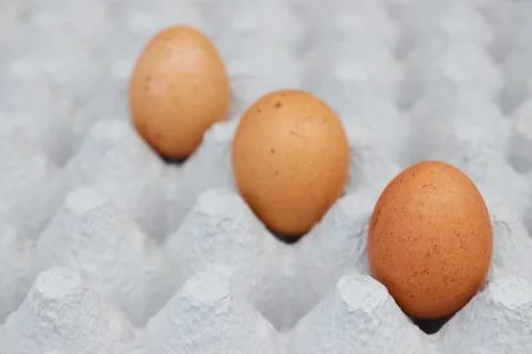Close-up view of raw chicken eggs in egg box. vertical view. Stock Photos