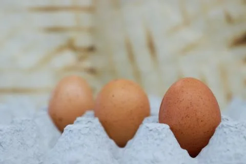 Close-up view of raw chicken eggs in egg box. vertical view. Stock Photos
