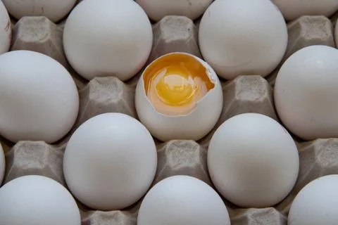Close up view of raw chicken eggs in a box Stock Photos
