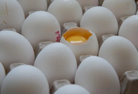 Close up view of raw chicken eggs in a box Stock Photos