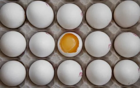 Close up view of raw chicken eggs in a box Stock Photos