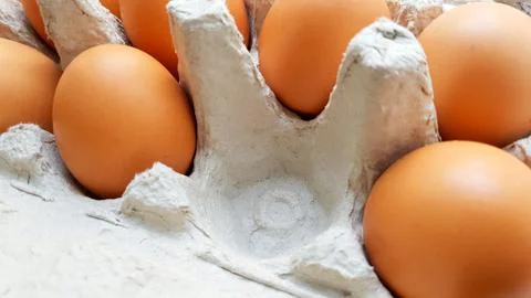 Close up view of raw chicken eggs in an egg box Stock-Fotos
