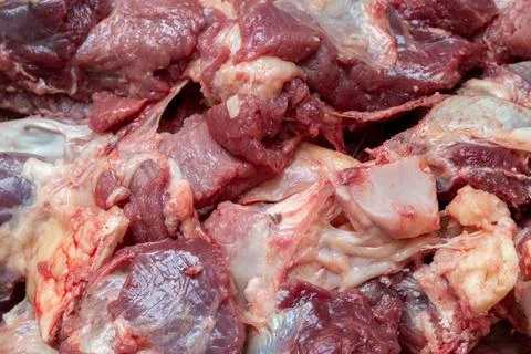 A close-up view of raw meat cut into various pieces Photos