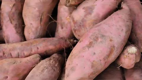 Close view of raw sweet potatoes piled Stock Footage 338168601