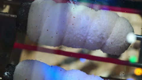 Close view of raw trdelnik, a spit cake, cooking in a store. Cooking in the oven Vidéo 146510010