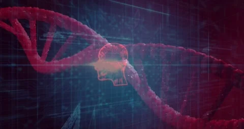 Close view red DNA helix rotating, initiating icons and forming head silhouette Stock Footage 317123500