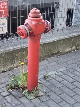 Close View of Red Fire Hydrant Beside Metal Fence Stock Photos