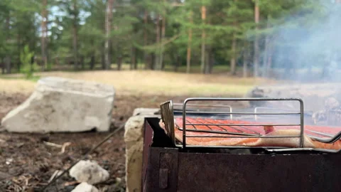 Close-up view of red fish on barbecue grill in woods. Camping and cooking in Stock Footage 278282714