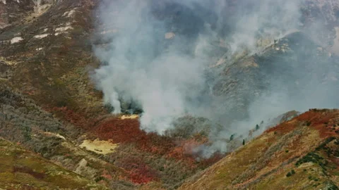 Close view of red flame retardant blocking wildfire progression on mountainside Stock Footage 242117835