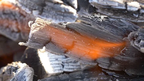 Close up view of red-hot coal. Stock Footage 106289837