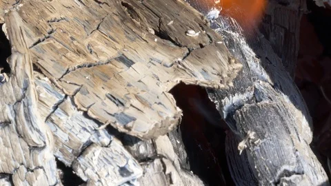 Close up view of red-hot coal. Stock Footage 106289893