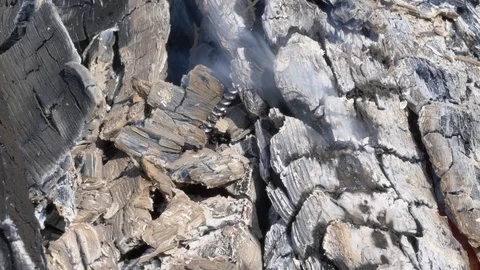 Close up view of red-hot coal. Stock Footage 106289933