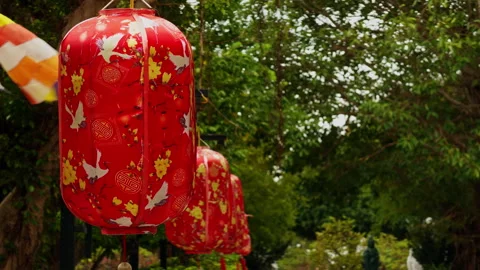 Close View of Red Lanterns with Crane and Blossom Patterns Hanging in Line besid Stock Footage 323656299