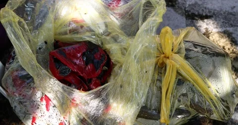 A close-up view of a red, roasted pepper collected in bags during the preparatio Stock Footage 207720099