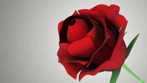 Close-up View of Red Rose on gradient background Stock-Illustration