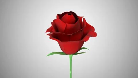Close-up View of Red Rose on gradient background Stock-Illustration