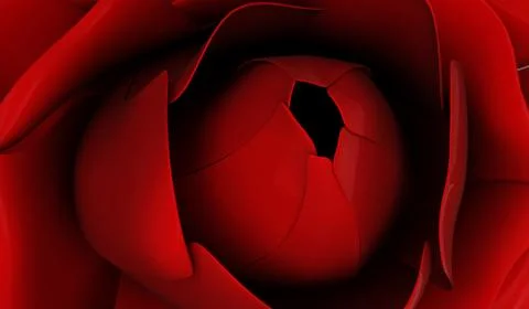 Close-up View of Red Rose Stock Illustration