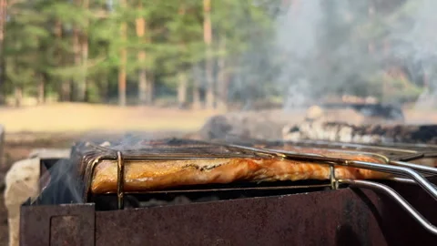 CLose-up view of red trout on barbecue grill. Cooking fish outdoors in the Stock Footage 278130327