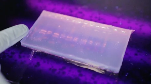 A close up view of a researcher checking a eletrophoresis gel under ultraviolet  Stock-Footage 97750176