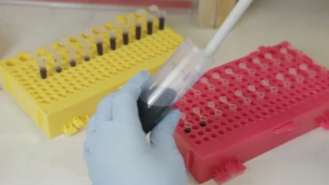 A close up view of a researcher transfering samples to smaller vials in a geneti Stock Footage 97759813
