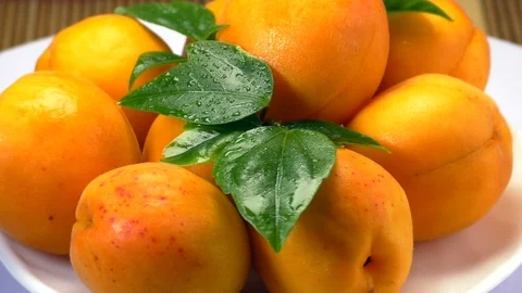 Close-up view of ripe apricots Stock Footage 92243076