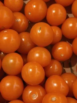 Close view of ripe orange cherry tomatoes packed together with glossy skins.. Stock-Fotos