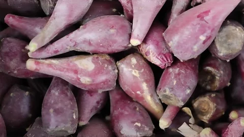 Close view of ripe prickly pear fruits Stock Footage 338168417